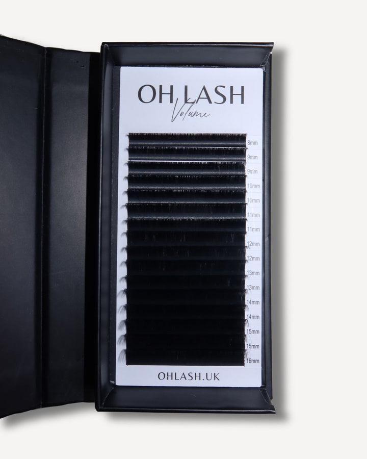 Volume Lashes